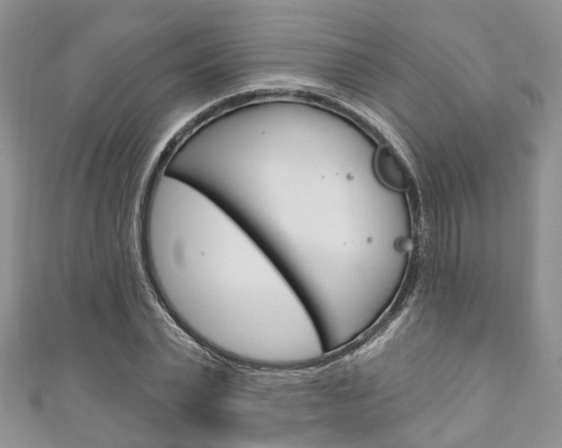 X0000111200783200907011029
