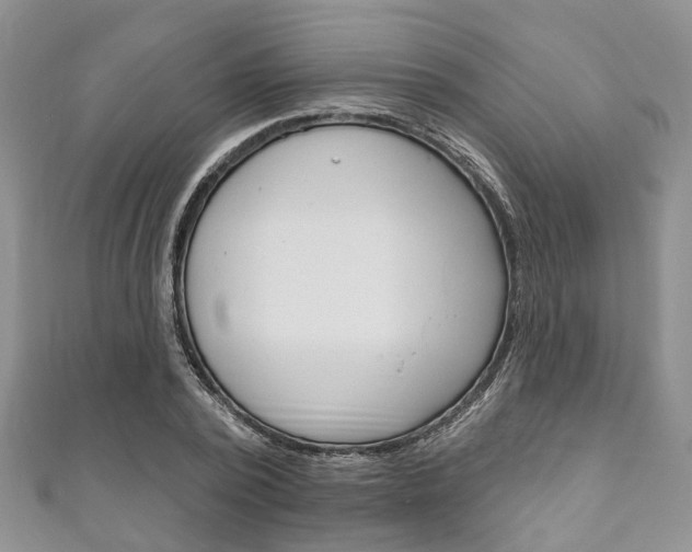 X0000111200784200907011029