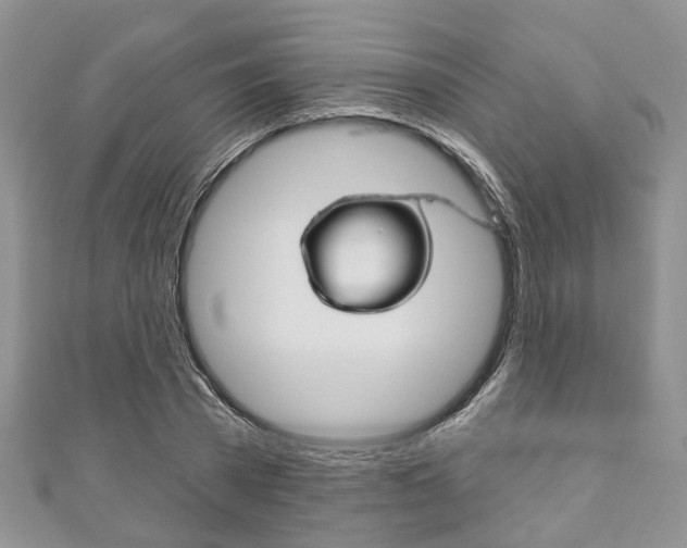 X0000111200785200907011029