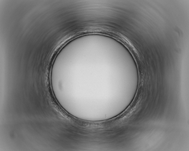 X0000111200786200907011029