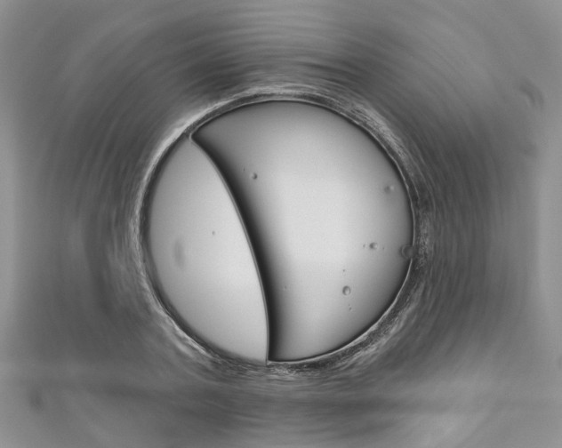 X0000111200787200907011029