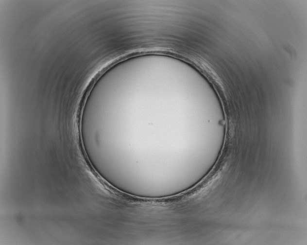 X0000111200789200907011029