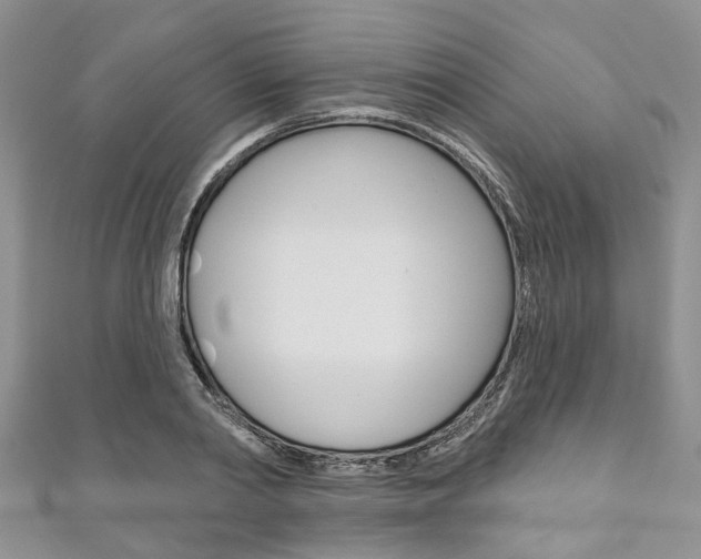 X0000111200790200907011029
