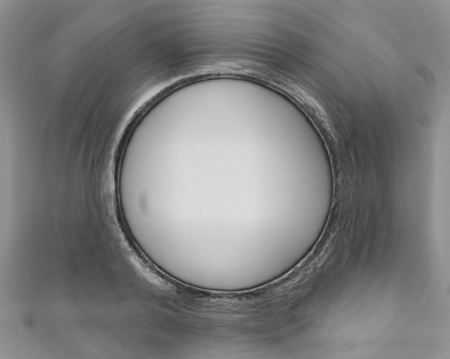 X0000111200792200907011029