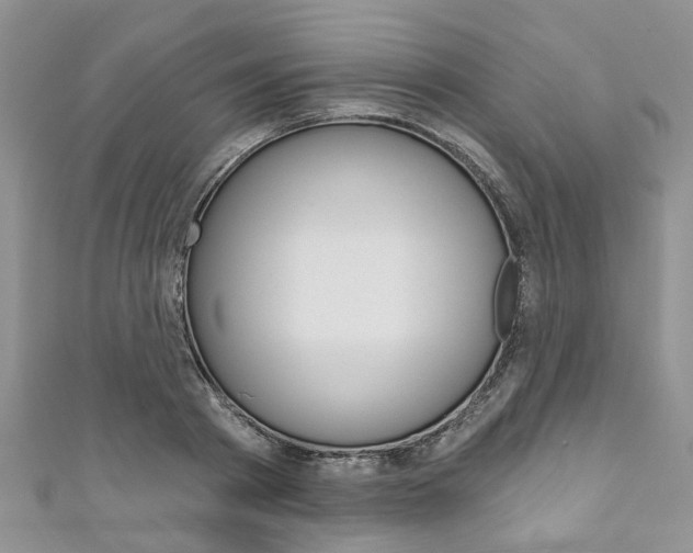 X0000111200793200907011029