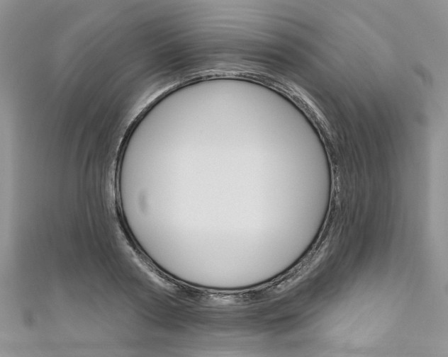 X0000111200794200907011029