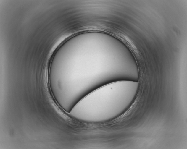 X0000111200796200907011029