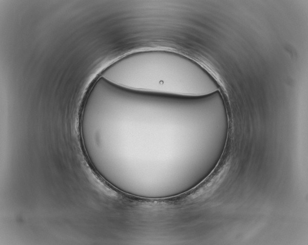 X0000111200797200907011029