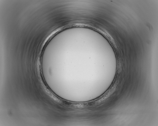 X0000111200798200907011029