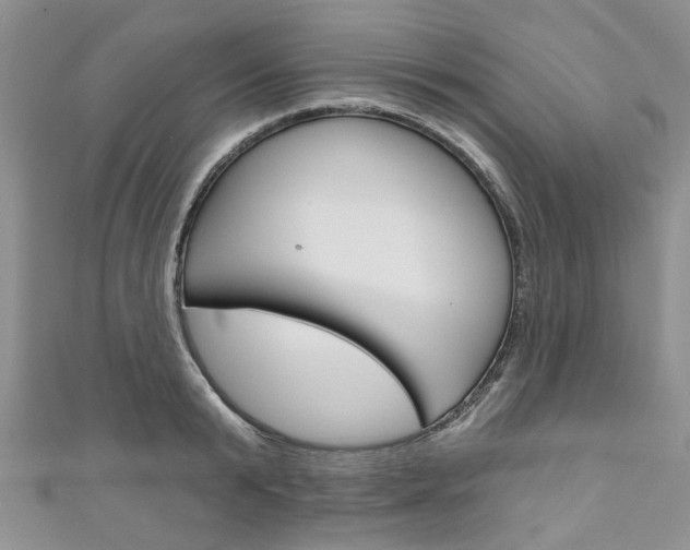 X0000111200799200907011029