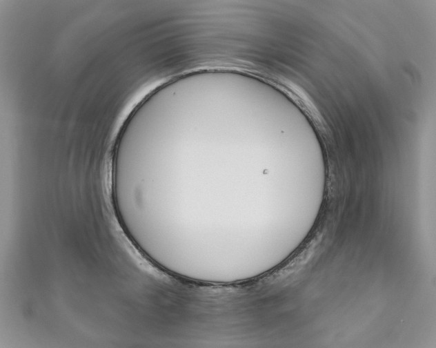 X0000111200804200907011029