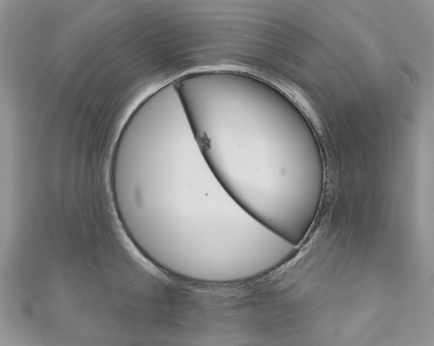 X0000111200805200907011028