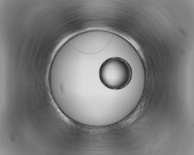 X0000111200807200907011028