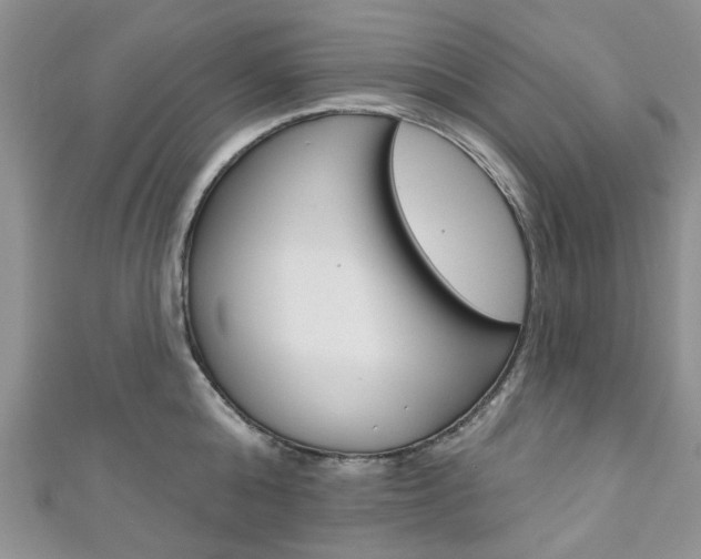 X0000111200808200907011028