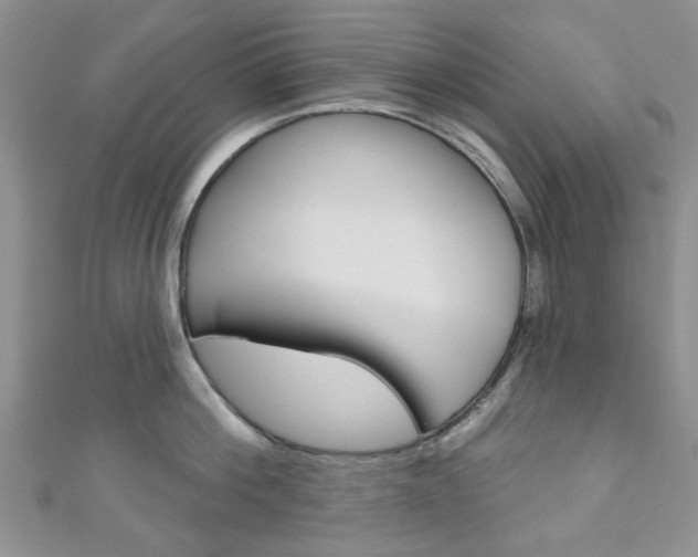 X0000111200812200907011028