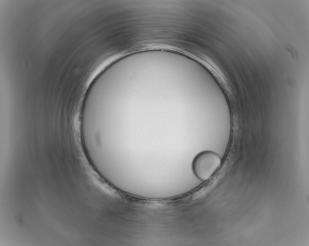 X0000111200814200907011028