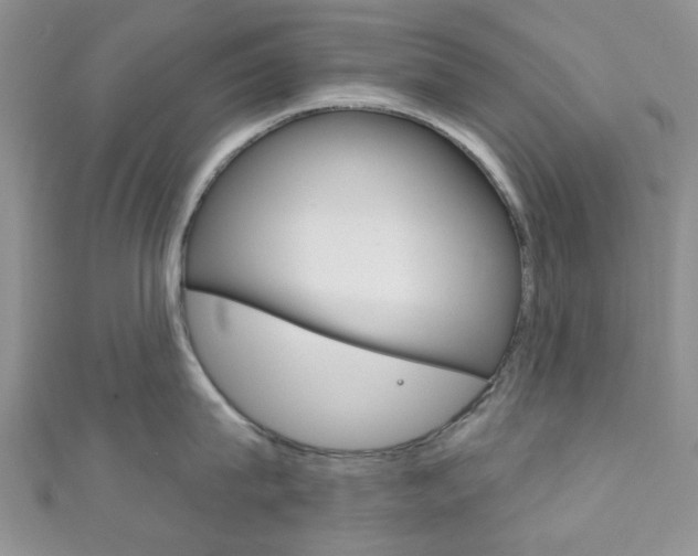 X0000111200815200907011028