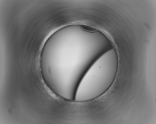 X0000111200816200907011028