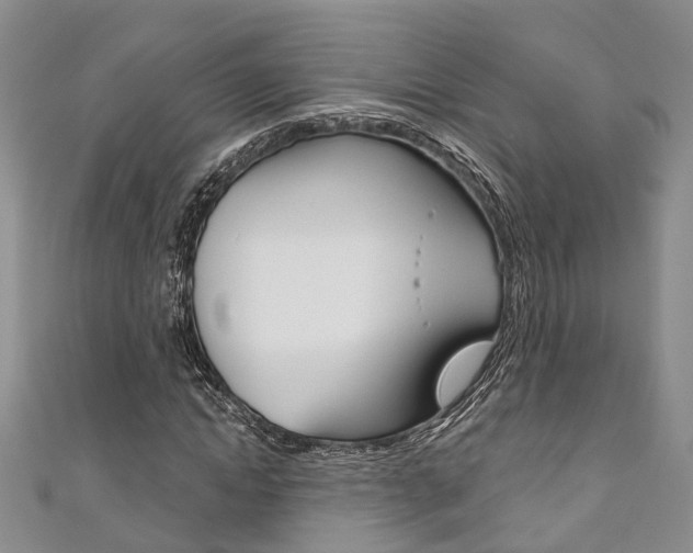 X0000111200822200907011028