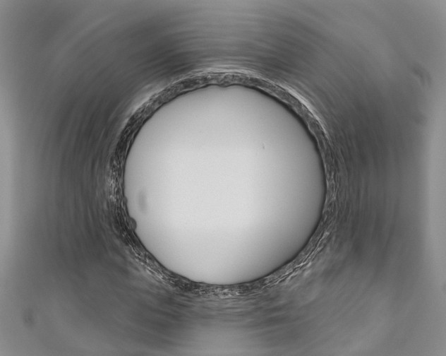 X0000111200823200907011028