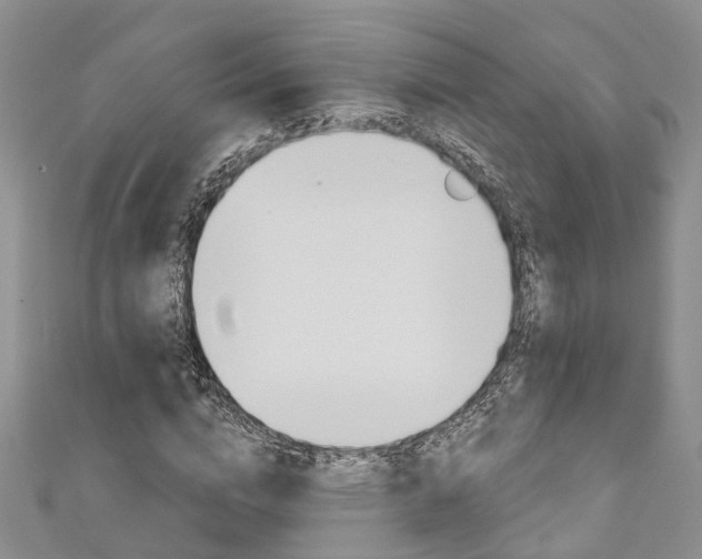 X0000111200824200907011028