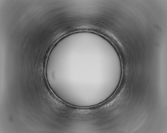 X0000111200825200907011028