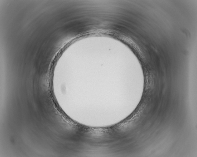 X0000111200828200907011028