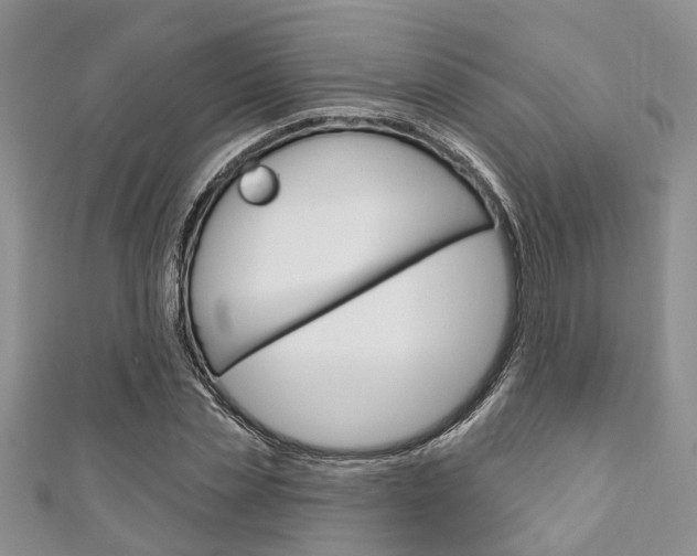 X0000111200829200907011028
