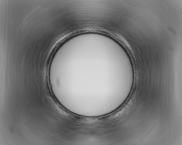 X0000111200831200907011028