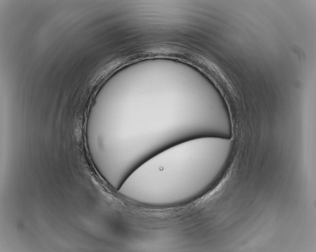 X0000111200833200907011028