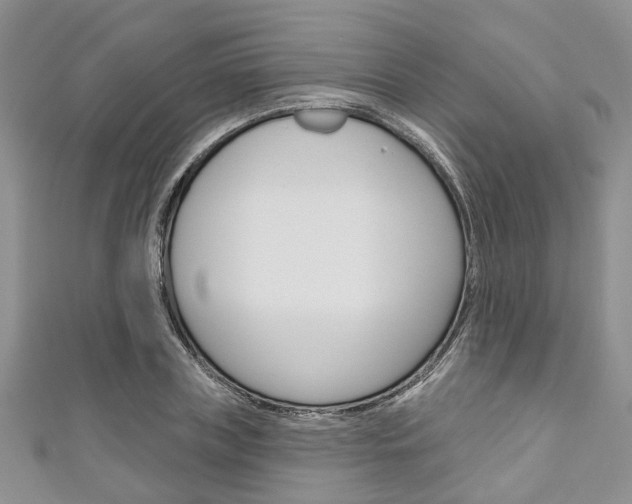 X0000111200835200907011028