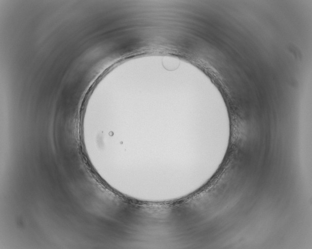 X0000111200836200907011028