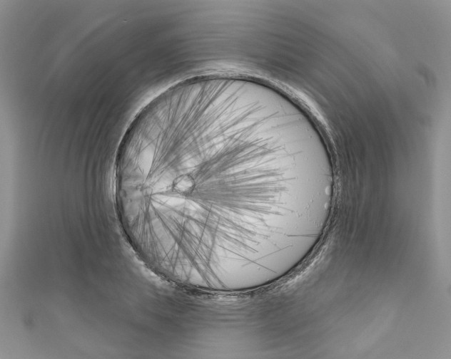 X0000111200839200907011028