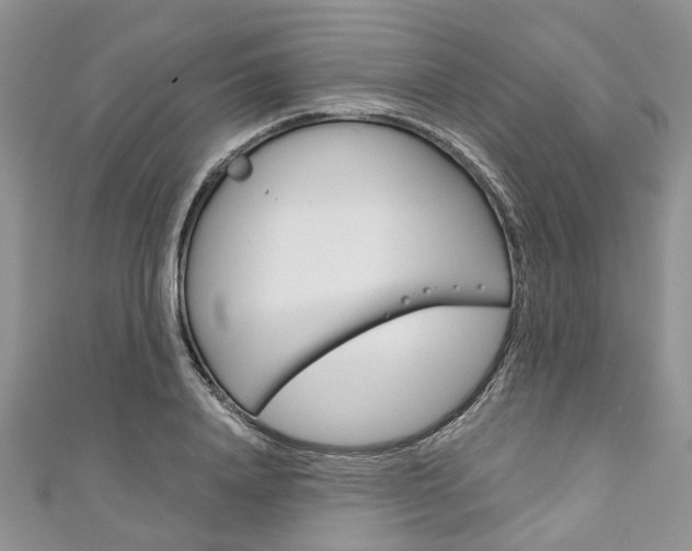 X0000111200840200907011028