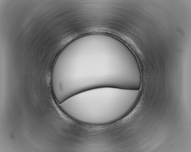 X0000111200841200907011028