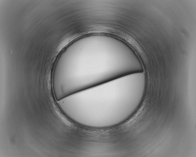 X0000111200842200907011028