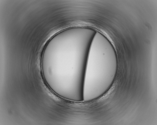 X0000111200843200907011028