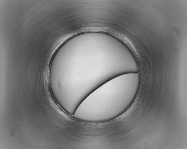 X0000111200844200907011028