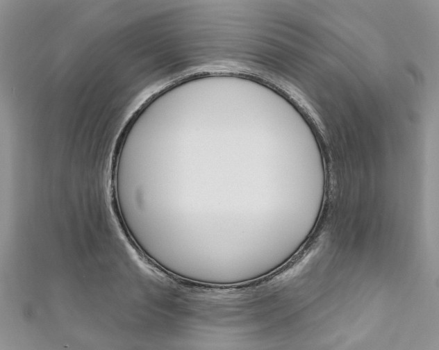 X0000111200845200907011028