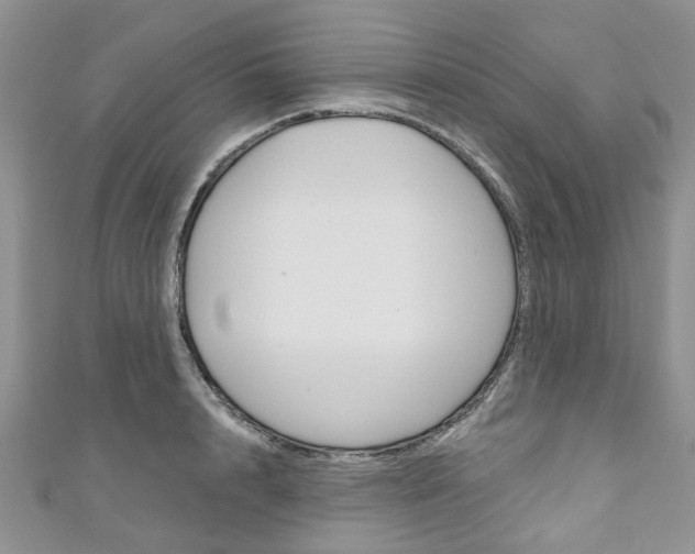 X0000111200848200907011028