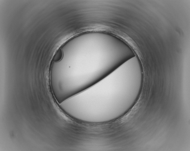 X0000111200850200907011028