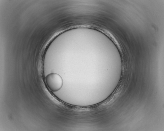 X0000111200851200907011028