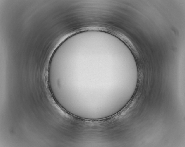 X0000111200852200907011028