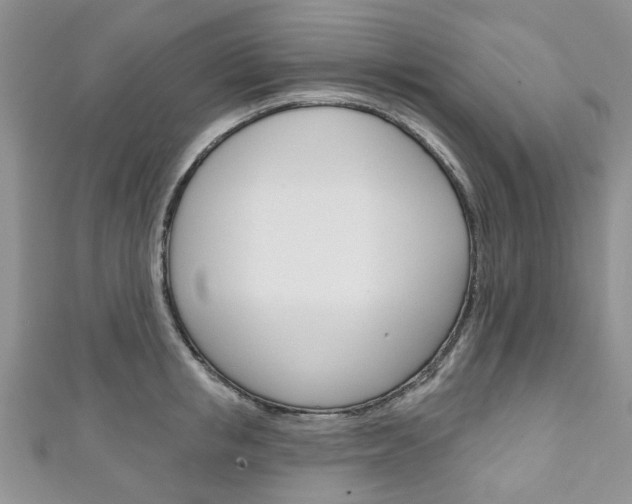 X0000111200853200907011028