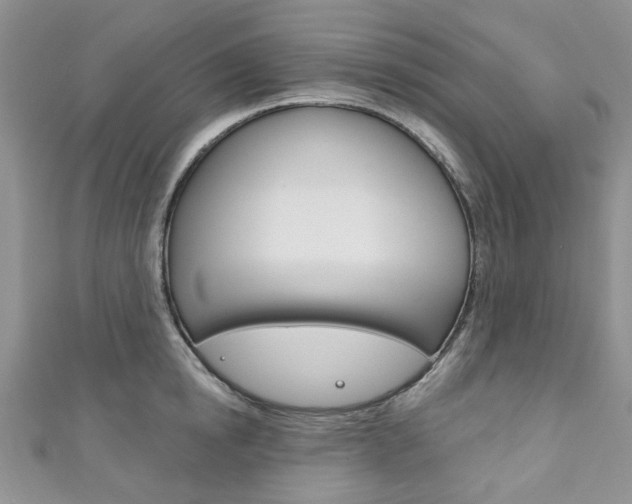 X0000111200854200907011028