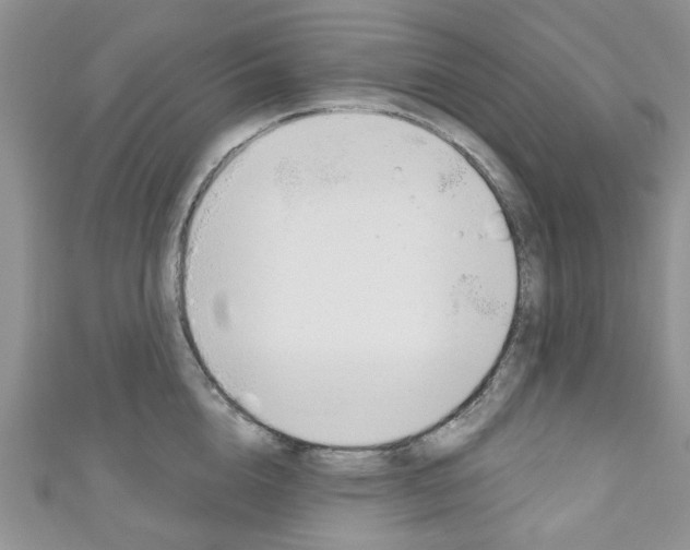 X0000111200856200907011028