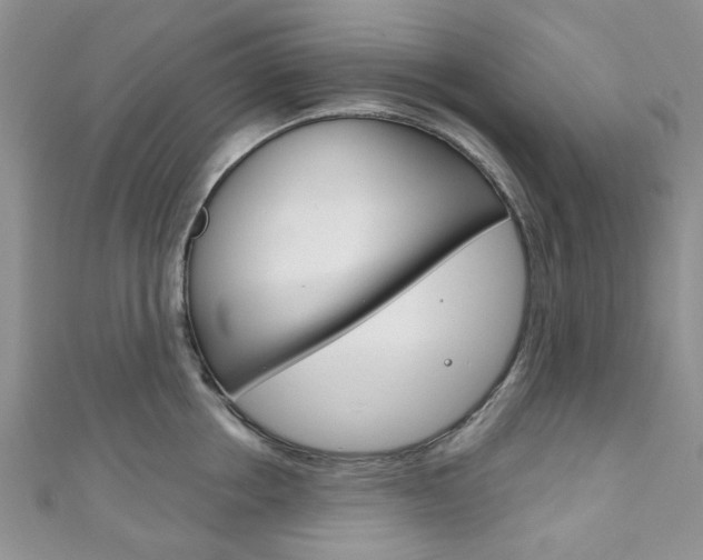 X0000111200858200907011028