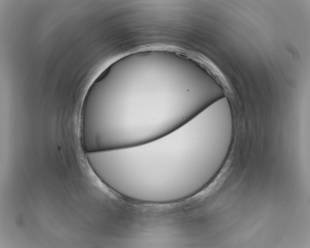 X0000111200860200907011028