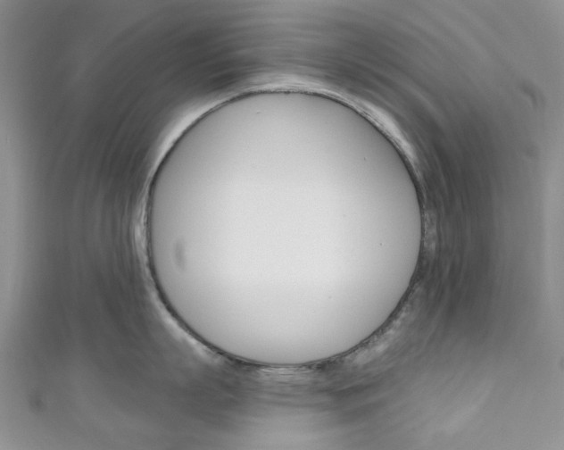 X0000111200863200907011028