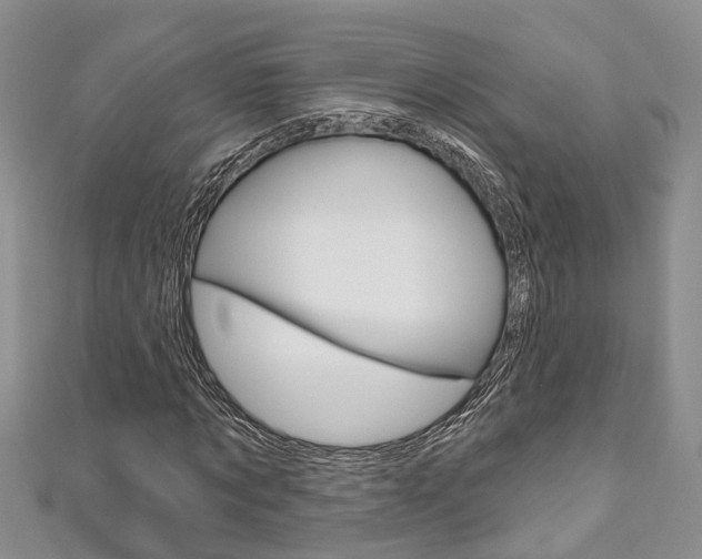 X0000111200869200907011028